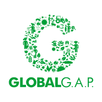 Global 1